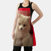 かわいいポメラニア犬犬 エプロン (インサイチュ)