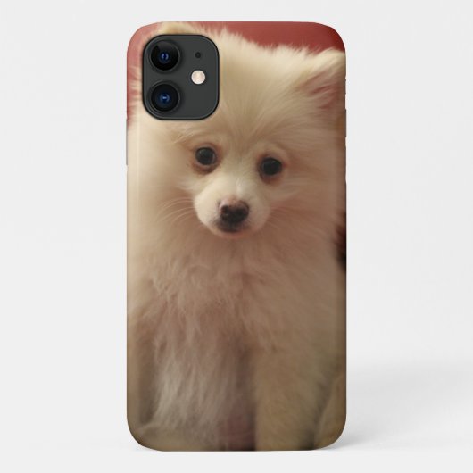 かわいいポメラニア犬犬 Case-Mate iPhoneケース (裏面)