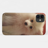 かわいいポメラニア犬犬 Case-Mate iPhoneケース (裏面(横))