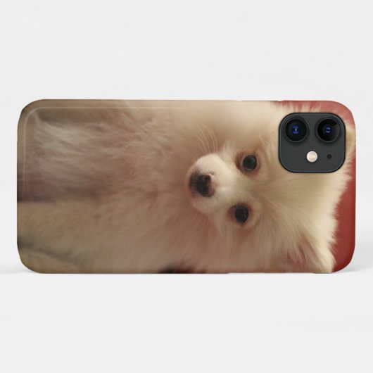 かわいいポメラニア犬犬 Case-Mate iPhoneケース (裏面(横))