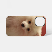 かわいいポメラニア犬犬 iPhoneケース (裏面横)