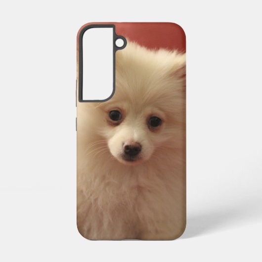 かわいいポメラニア犬犬 SAMSUNG GALAXYケース (裏面)