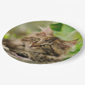 かわいいポートレートのメインのあらいぐま猫の子ネコ、幸せなパーティー ペーパープレート (アングル)