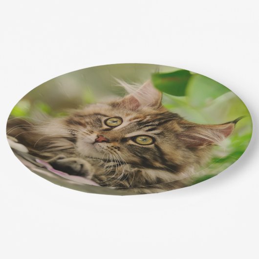 かわいいポートレートのメインのあらいぐま猫の子ネコ、幸せなパーティー ペーパープレート (アングル)