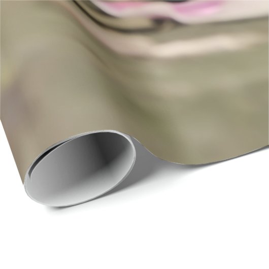 かわいいポートレートメインのクーンキャットガーデンで子猫 –  ラッピングペーパー (ロールコーナー)