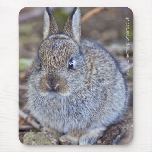 かわいいマウスパッドだよ! マウスパッド (正面)
