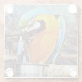 かわいいマカオ ガラスコースター (裏面)