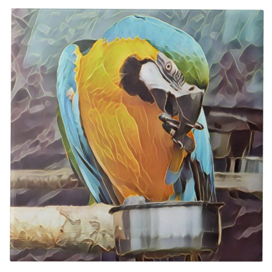 かわいいマカオ タイル (正面)