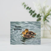 かわいいマガモの子 Photo 誕生日 ポストカード (スタンド正面)