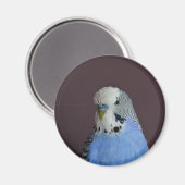 かわいいマクロブジーブバード マグネット (正面/裏面)