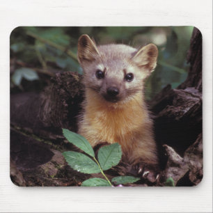 かわいいマツテンのマウスパッド マウスパッド