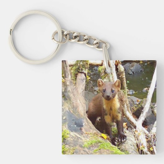 かわいいマテリカモシカの森の動物の休息 キーホルダー (正面)