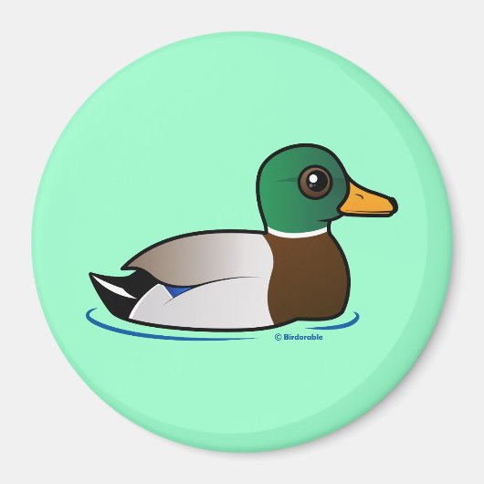 かわいいマラード マグネット (正面)