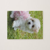 かわいいマルタのプードルの子犬のパズル ジグソーパズル (横)
