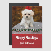 かわいいマルチーズの子犬のクリスマステンプレート (正面/裏面)