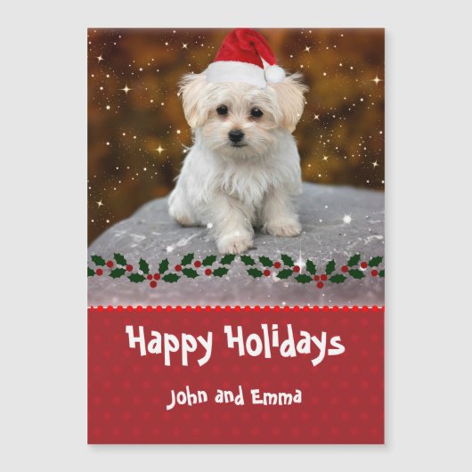 かわいいマルチーズの子犬のクリスマステンプレート (正面)