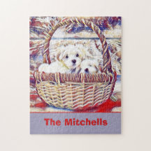 かわいいマルチーズの子犬の恋人