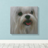 かわいいマルチーズキャンバス印刷 キャンバスプリント (インサイチュ (ウッドフロア))
