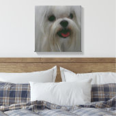 かわいいマルチーズキャンバス印刷 キャンバスプリント (インサイチュ (寝室))