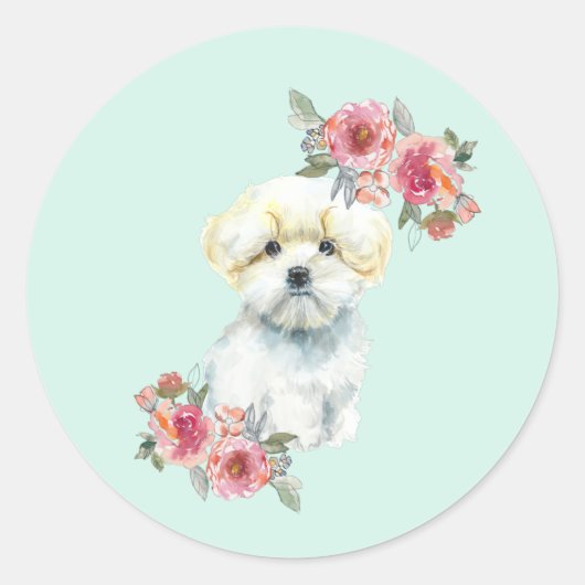 かわいいマルチーズ子犬の水色 ラウンドシール (正面)