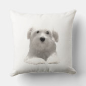 かわいいマルチーズ犬 クッション (裏面)