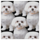 かわいいマルチーズ犬 ファブリック (クローズアップ)