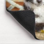 かわいいミニオーストラリアの羊飼い犬のバイカラー子犬 マウスパッド (コーナー)