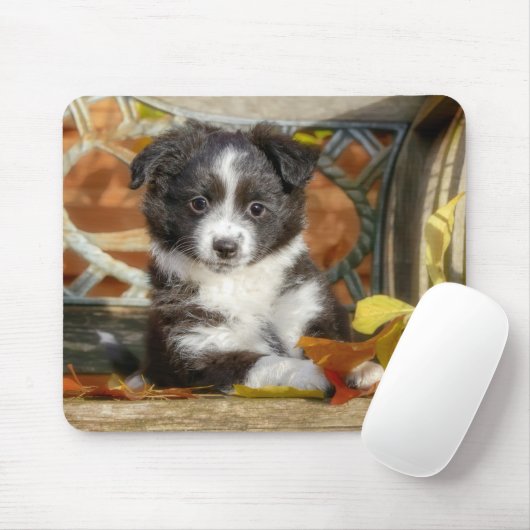 かわいいミニオーストラリアの羊飼い犬のバイカラー子犬 マウスパッド (マウス)