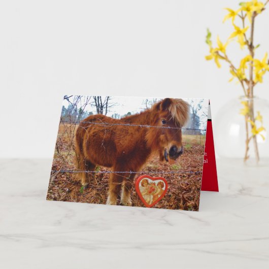 かわいいミニチュアウマバレンタインポニーとハート カード (黄色い花)