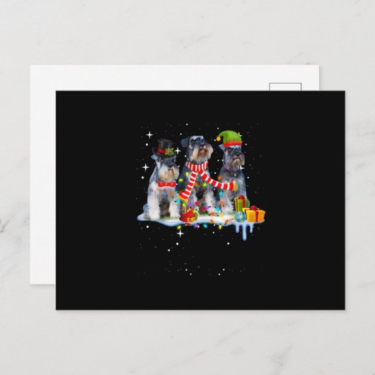 かわいいミニチュアシュナウザーのクリスマス犬 案内ポストカード (正面/裏面)