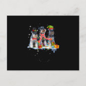 かわいいミニチュアシュナウザーのクリスマス犬 案内ポストカード (正面)