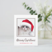 かわいいミョイのクリスマスキャットとサンタハット シーズンカード (スタンド正面)