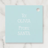 かわいいミントスノーフレークスター フェイバータグ (裏面)