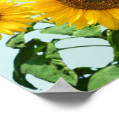 かわいいミーアカットとひまわり ポスター (角)