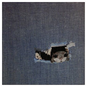 かわいいムササビのスケッチ ファブリック (クローズアップ)