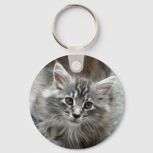 かわいいメインのあらいぐまの子ネコのkeychain キーホルダー