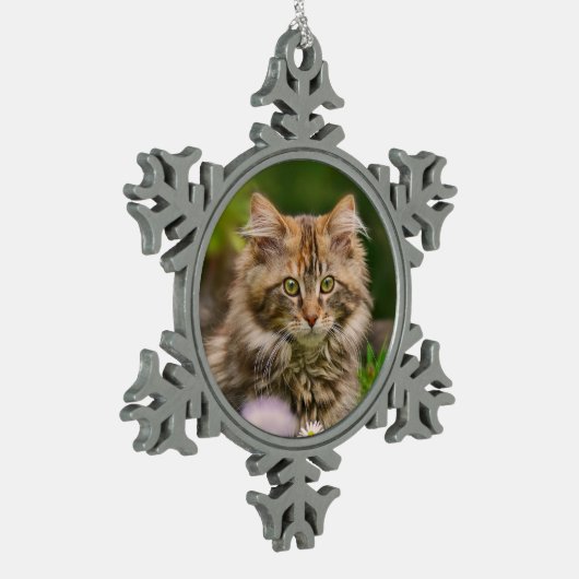 かわいいメインのあらいぐまの子ネコ猫のポートレートの写真** スノーフレークピューターオーナメント (左)