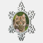 かわいいメインのあらいぐまの子ネコ猫のポートレートの写真** スノーフレークピューターオーナメント (右)