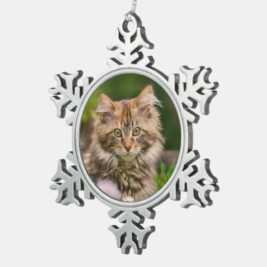 かわいいメインのあらいぐまの子ネコ猫のポートレートの写真** スノーフレークピューターオーナメント (右)