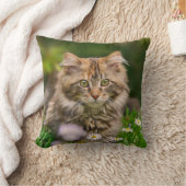 かわいいメインのあらいぐまの子ネコ猫の花草原-正方形 クッション (ブランケット)