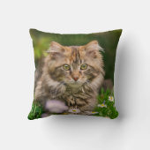 かわいいメインのあらいぐまの子ネコ猫の花草原-正方形 クッション (裏面)