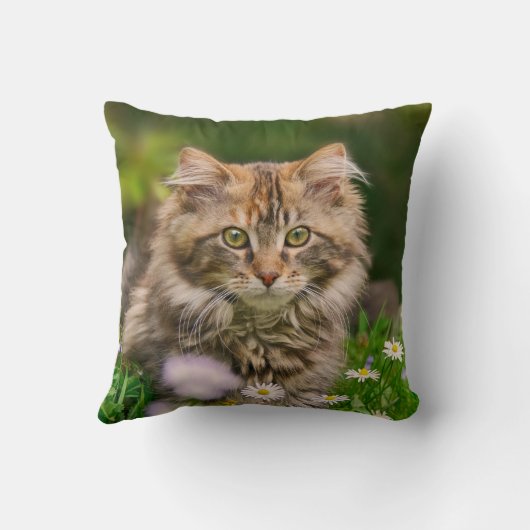 かわいいメインのあらいぐまの子ネコ猫の花草原-正方形 クッション (裏面)