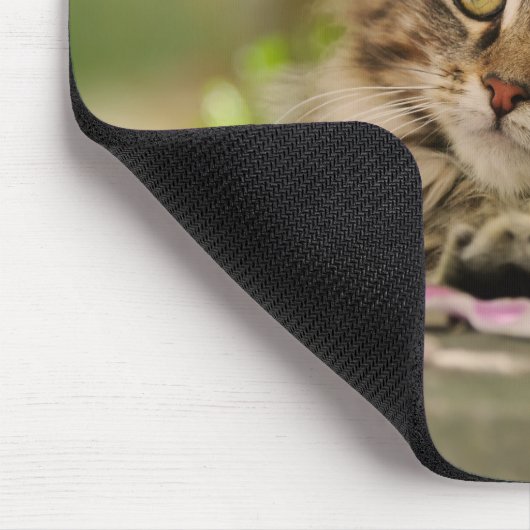 かわいいメインのあらいぐまの子ネコ マウスパッド (コーナー)