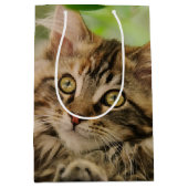 かわいいメインのあらいぐまの子ネコ ミディアムペーパーバッグ (正面)