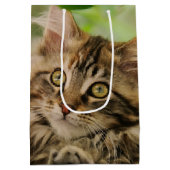 かわいいメインのあらいぐまの子ネコ ミディアムペーパーバッグ (裏面)