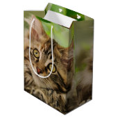 かわいいメインのあらいぐまの子ネコ ミディアムペーパーバッグ (裏面アングル)