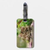 かわいいメインのあらいぐまの子ネコ ラゲッジタグ (裏面縦)