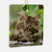 かわいいメインのあらいぐま猫の子ネコのポートレート-磁器 セラミックオーナメント (右)