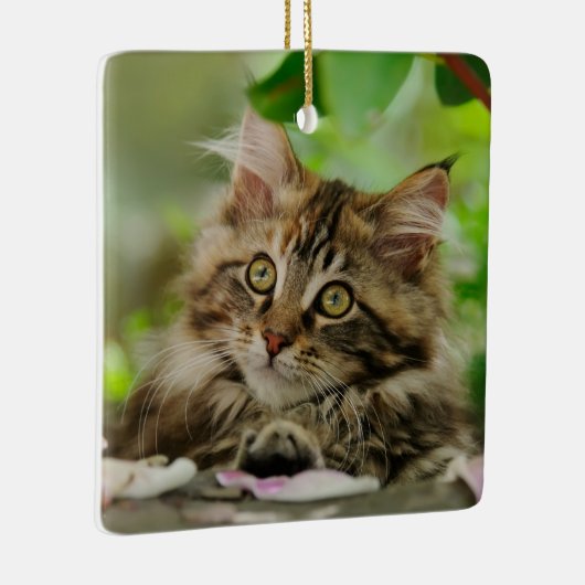 かわいいメインのあらいぐま猫の子ネコのポートレート-磁器 セラミックオーナメント (右)