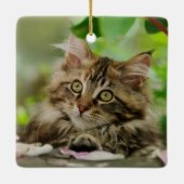 かわいいメインのあらいぐま猫の子ネコのポートレート-磁器 セラミックオーナメント (裏面)